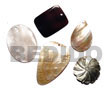 5 pcs. shell pendants /  blacklip/ hammershell / mop / brownlip