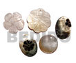 5 pcs. shell pendants /  2 pcs. blacklip / hammershell / 2 pcs.