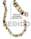 exotica luhuanus shell in beads strands or necklace