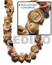everlasting luhuanus shells in beads strands or necklace