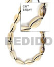 sigay shell in beads strands or necklaces