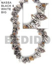 nassa shell in black and white in beads strands or necklace