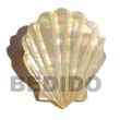 mother of pearl design brooch
