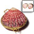 piktin shell coin purse