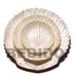 capiz shell king scallop