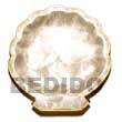 noble scallop small with brass birder