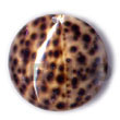 Handmade round tiger cowrie 40mm pendants Shell Pendant