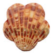 Handmade piktin scallop pendants Shell Pendant