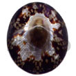 wood bangles limpit oval pendants Shell Pendant