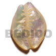 30mm hammershell sigay/cowrie carving pendants